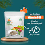 Vitamin B12 Plant Based Powder
