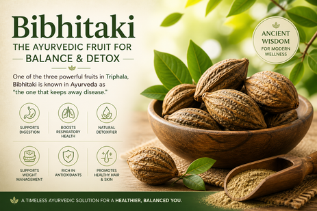 Bibhitaki: The Deep-Cleansing "Pillar" of Ayurvedic Longevity