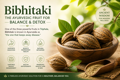 Bibhitaki: The Deep-Cleansing "Pillar" of Ayurvedic Longevity