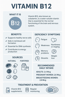Infographic about Vitamin B12 with text and icons on a white background