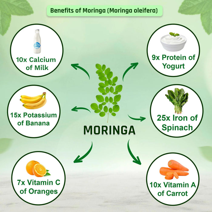 Diagram showing the nutritional benefits of Moringa oleifera compared to other foods.